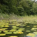 Daire Stolpseeblick Himmelpfort